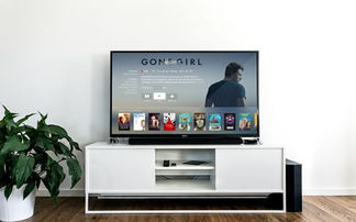 液晶電視維修收費標準、常見故障與處理方法